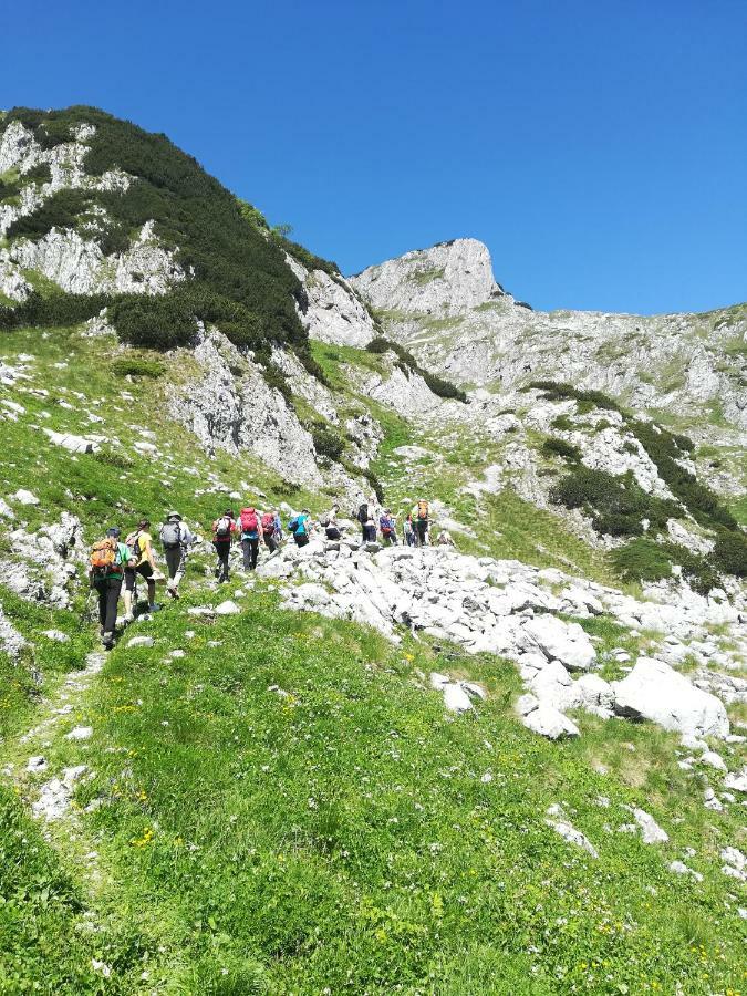 普卢日内 Privatni Smjestaj "Mratinje"旅馆 外观 照片